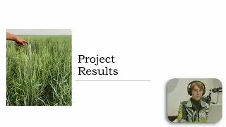 Intermediate Wheatgrass Dual-use Potential