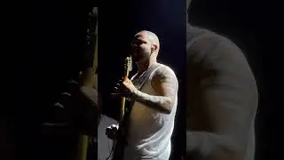 Show com a Timbalada