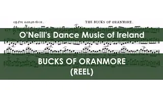DMOI476 The Bucks of Oranmore (Reel on Irish tenor banjo)