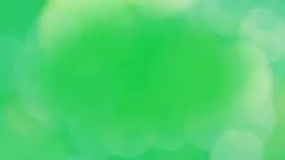 Blur Overlay Bokeh Effect - Green Screen | 1 Hour Loop 4K