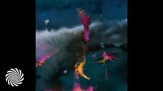 Procs - Vegarts Ultra