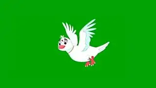 Pigeon flying green screen | pigeon cartoon | pigeon animation