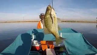 MR Wiggle On The Water With The Hangman Catching Big Redears On The California Delta