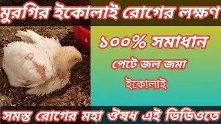 মুরগির ইকোলাই রোগের লক্ষণ ও সমাধান।#bangla #poultryfarm #agriculture #tutorial #chicken 