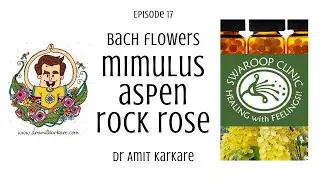 Цветы Баха - Эпизод 17: MIMULUS - ASPEN - ROCK ROSE