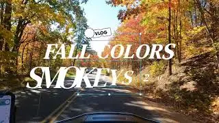 FALL COLORS SMOKEYS 2022