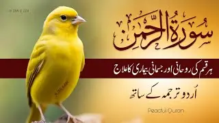 Surah Rahman With Urdu Translation full Qari Al Sheikh Abdul Basit Abdul Samad ( tilawat e quran )