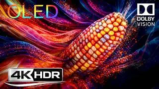 This 4K OLED Demo Looks Reality-Breaking 😱 | Dolby Vision HDR 4K 240fps Test