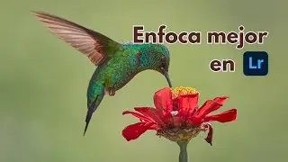 3 Formas de enfocar tus fotos en Lightroom