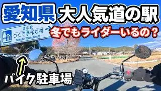 愛知県の“いろは坂”と“ターンパイク”を走って、超人気道の駅に向かう！そして最後に“本宮山スカイライン”を走りにいったらバイク女子2名が……
