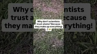 🔬 