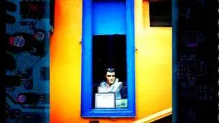 Trends in Color Forecast 2010/2011 Neoteric Part 7 of 7