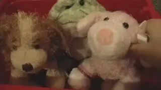 Breakout - Webkinz Music Video (2010-2011)