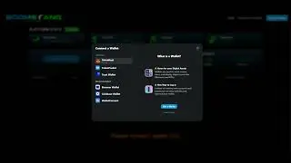 BOOMERANG NEDERLAND update WEES DANKBAAR & LANGE TERMIJN DENKEN (mislukte demo) TOP TEAM ROB BUSER