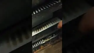 Snake racks with Belly Heat... is it worth it?