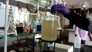 BIO SCIENCE LAB