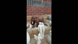 @The Range | Garden Center | Day out with Husband