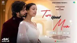 New Song 2026 | Teri Yaad Mein, Official Song 4K | Shahid Kapoor | Triptii Dimri | MSD Melody Vibes 