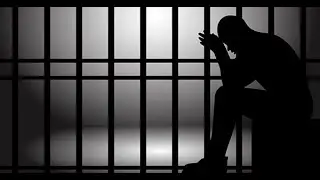 Article 22: Protection Against | Arrest and Detention