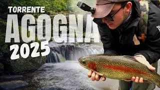 Queste TROTE sono dei TRENI! || Riserva ZTP Agogna Gozzano🇮🇹 || Pesca Trota torrente 2025