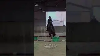 dw i promise i can ride her 😔😅 #horse#equestrianjourney#equestrian#horseriding