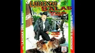 Lorenzo Salas - Los Gallos De Memo