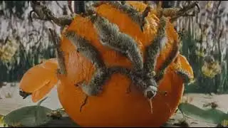 🌳📸 Capturing the Rotten Orange Fruit Monster A Hyper Realistic Fantasy! 📸🌳
