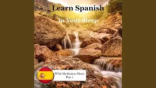 Learn Spanish in Your Sleep: Important Verbs