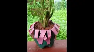 DIY Plastic Bottle Planter