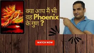 क्या आप मैं भी वह Phoenix bird के गुण ? #raising #lifeimprovement #phoenix #motivation