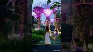 Places on earth that don't feel real Singapore