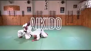 Aikido Shudokan Intl presents  - Wrist Locks - Watch now on AikiTV.online