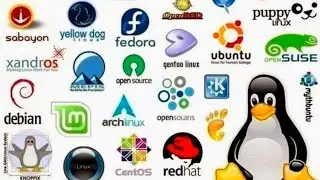 Top 10 Best Linux Distributions in 2022 