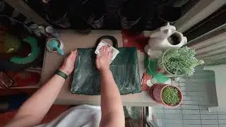 Coach Rogue Cleaning