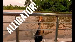 SWAMP TOUR NEW ORLEANS PART 3