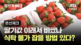 딸기값 이래서 비쌌나…식탁 물가 잡을 방법 있다는데 #돈선체크 / JTBC 장르가 머니