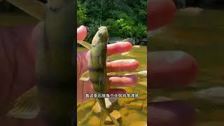 Holiday Fishing #fishing #holiday 45