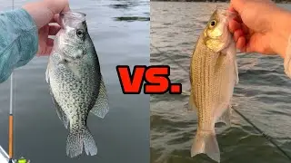 Guided Fishing Trip Vs. Unguided Fishing Trip!