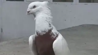 12 марта 2023 г.