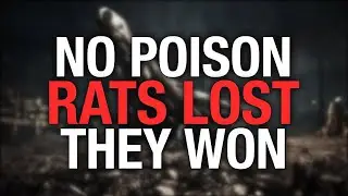 5 Medieval Rat Control Methods That Outperformed Modern Rodenticides