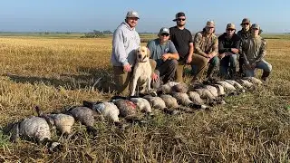 BAND! Early Goose Hunting in Nodak