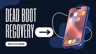Dead Boot Recovery 