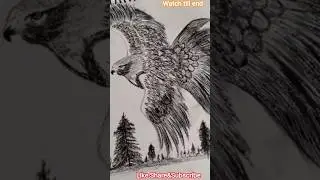 Eagle Drawing#art#drawing#sketch,#pencil Drawing#Shorts