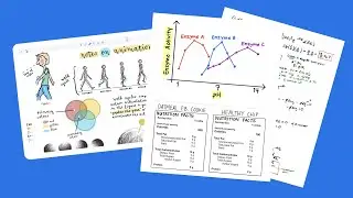 Notability, um caderno para iPad (tutorial)