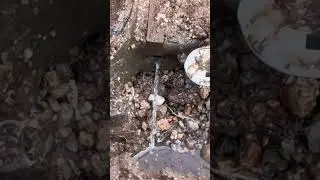 #fail #excavatorguy #plumbing #tucson #arizona