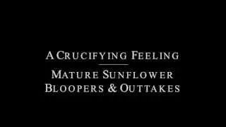A Crucifying Feeling - Mature Sunflower (Bloopers & Outtakes)