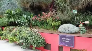 Explore at Australian Garden#plantlover#treescape#landscape