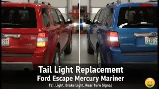 Самостоятельная замена лампочек задних фонарей Ford Escape (стоп-сигналы, поворотники, габаритные...