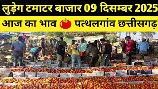 9 December 2025 Ludeg Tamatar Bajar 🍅 Aaj Ka Bhav #tamatar #tomato #pathalgaon #farming #food 