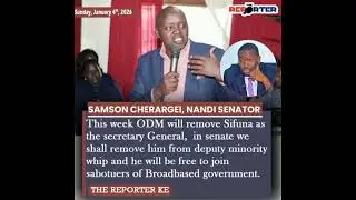 Sifuna will be chased from parliament as the deputy minority whip